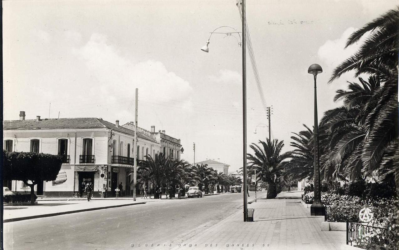 Lourmel 506- Avenue principale COLLECTION DES AMIS DE ND DE SANTA CRUZ.jpg